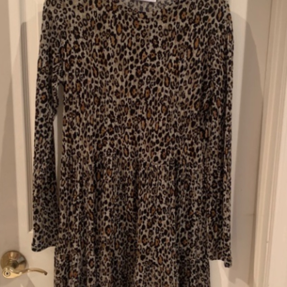 Zara cheetah print mini dress 🍂